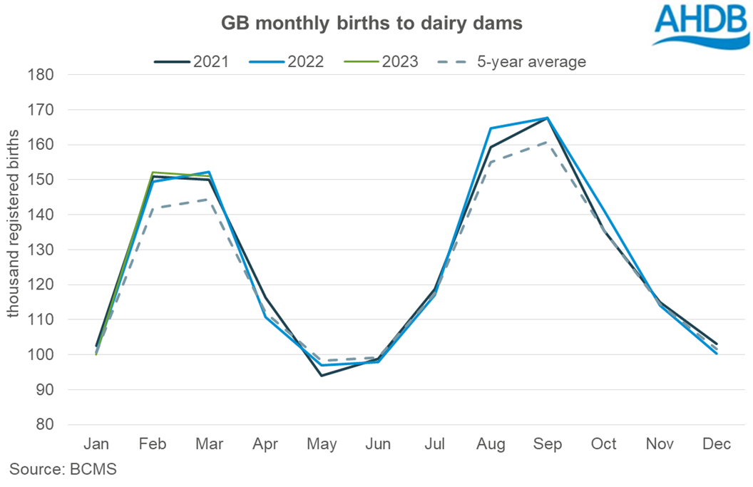 line graph showing the numbers of dairy calf registrations